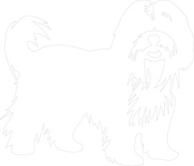 Fototapeta premium Tibetan Terrier outline