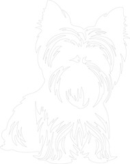 Obraz premium Yorkshire Terrier outline