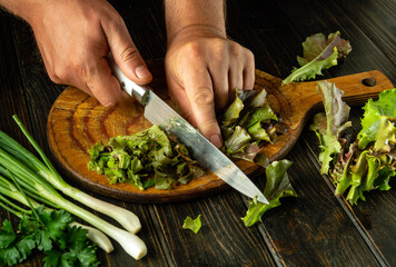 Chef preparing romaine violet salad in a restaurant kitchen. Close-up of cook hands slicing romaine lettuce with knife on cutting board