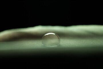 Drop of water on a bird feather, warm light, macro view	
