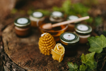 A glass transparent plate with honey, handmade candles from natural beeswax on a stump in the forest. Hobby. Artistic photo of beekeeping products against the backdrop of nature. Honey samples