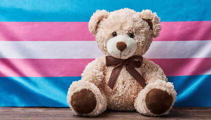 cute teddy bear sitting on the background of the transgender flag, queer lgbt pride visibility month