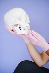 female dentist holds in her hands an anatomical model of the skull and a dental instrument. anatomical skull for a dentist close-up in female hands on a purple background