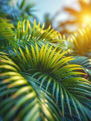 summer background with tropical palm leaves and branches