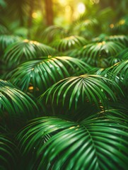 summer background with tropical palm leaves and branches