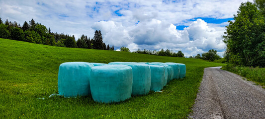 Haylage bales in plastic packs located on a green field near the soil road. Workpiece of silo in...
