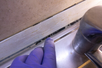 Black mold in the kitchen. Mold in the apartment.