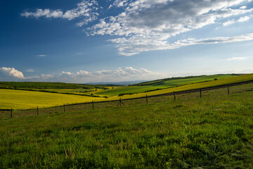 Spring countryside landscape with green and yellow fields