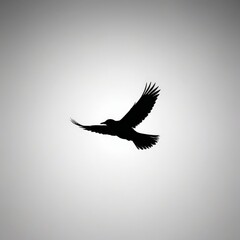 Obraz premium stork with wings