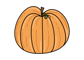 Illustrated pumpkin isolated on white background hand drawn