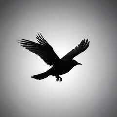 Obraz premium black bird fly in the sky