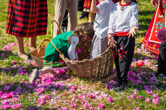 Children dressed in traditional dress with basket of rose petals having fun, playing during Rose Festival in Bulgaria