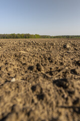 preparing the soil for sowing in spring
