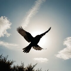 Obraz premium black bird fly in the sky