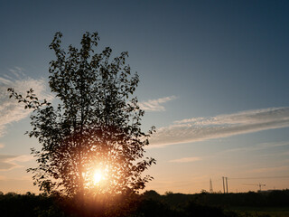 A tree with a sun shining through its leaves. The sky is blue with some clouds. The sun is rising up in the background. Dark moody cool nature scene. Nobody. Relaxed mood.