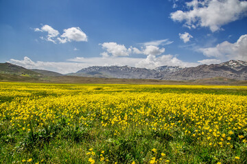 Spring in the mountains of Turkey