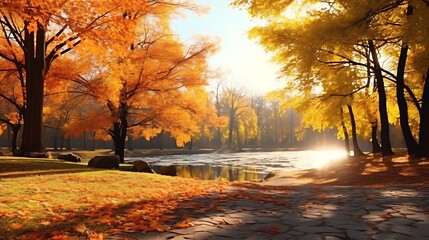 Beautiful autumn landscape with yellow trees and sun, Colorful foliage in the park, Falling leaves natural background