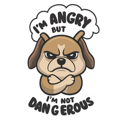 not angry cute dog