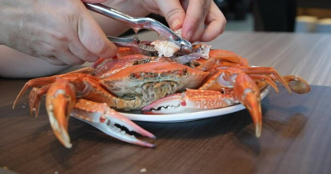 Stone crab cutter with seafood knives, shellfish knives made of aluminum and stainless steel, set Seafood Tools, Lobster, Crab, Cracker, Gadgets, Cooking Tools, Claws, Sheller. Kitchen Accessories