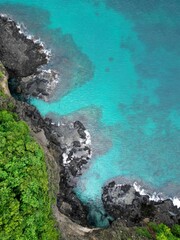 Beautiful View Aerial Shot of Lava Rocks at the Ocean with forest and turquoise water