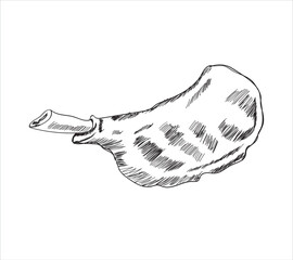 Meat parts of the cow,calf,camel. Eid al adha sacrifice, meat vectors