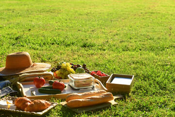 Set for romantic picnic with tasty food on green grass in park