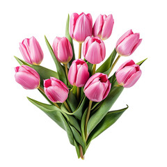 Obraz premium bouquet of pink tulips