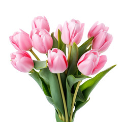 pink tulips © OGStock