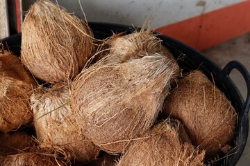 Coconut tropical fruit for making coconut milk