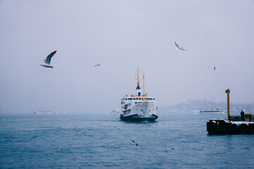 ship in the bosphporus