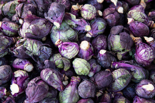 purple brussel sprouts at the market