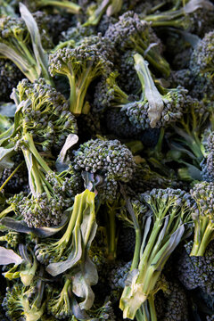 bunches of broccolini in a market