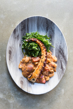 Fancy plate of grilled octopus with faba beans and arugula salad over a gray cement surface.