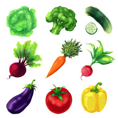 A set of various vegetables in an art style