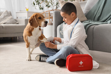 Little African-American boy playing doctor with cute beagle dog at home