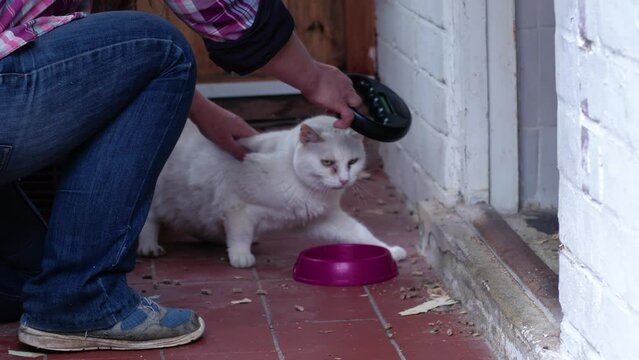 Animal rescue volunteer scans lost cat microchip 