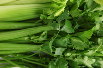 Obraz premium Texture of fresh green celery as background