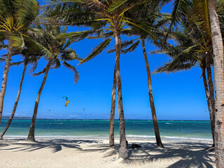 Palm trees on a beautiful, quiet tropical sandy beach on a tropical island (White Beach, Boracay)