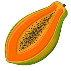 illustration of an papaya logo isolated on transparent  background