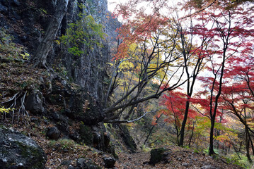 Climbing  Mount Iwabitsu, Gunma, Japan