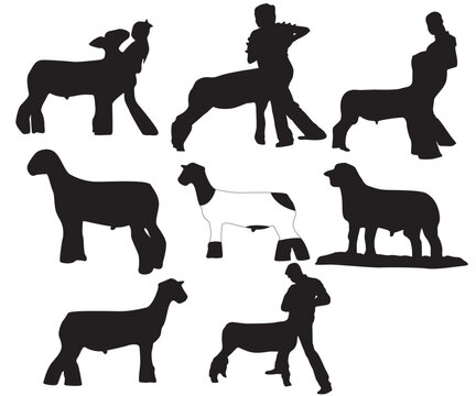 Print Show Lamb Silhouette; Show Lamb EPS; Market Lamb EPS; Sheep clipart; Show Lamb EPS Bundle; Suffolk Lamb; Show Sheep Eps 