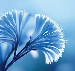 Naklejka premium white flower on blue background, blue, plant, spring, macro, bird, soft, closeup, summer, illustration, vector, color, design, backgrounds