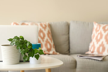 Air humidifier with plant and laptop on table in living room, closeup