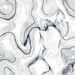 An abstract line drawing of a human heart, with arteries and veins represented by intricate, flowing lines that convey a sense of complexity and life. Minimal pattern banner wallpaper, simple