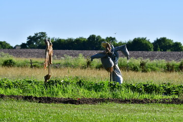 Scarecrow in a Garden