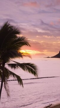 Vertical Screen: Capture the breathtaking beauty of a tropical sunset with silhouetted palm trees, ocean waves, and vibrant skies on your phone screen. Ideal for vertical videos or backgrounds