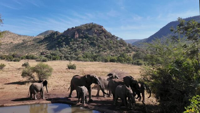 Elephants Fight At Pilanesberg National Park In North West South Africa. African Animals Landscape. Pilanesberg National Park. Pilanesberg National Park At North West South Africa. Big Five Animals.