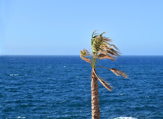 the mediterranean sea on the island of Malta
