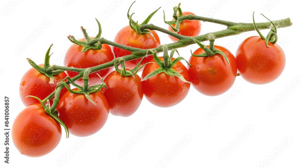 Poster branch of tomatoes isolated on white background with full depth of field and no shadows perfect for 