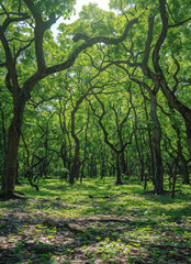 Naklejka premium uma floresta de arvores frondosas created with Generative AI technology